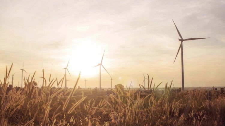 Pierwszy w Polsce młyn zasilany energią wiatrową